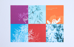 Marianne Schär Moser, Forschung und Beratung, Bern Marianne Schär Moser, Forschung und Beratung, Bern